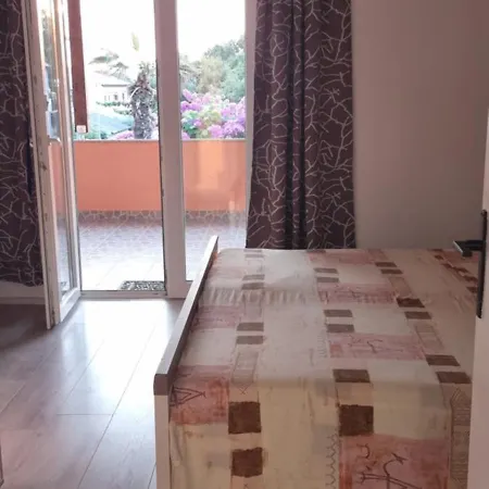 3 Palme Apartment *